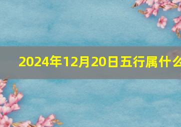 2024年12月20日五行属什么