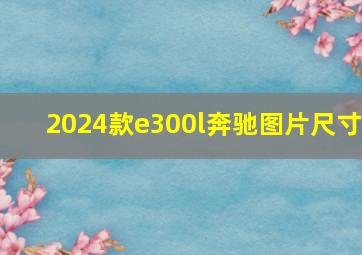 2024款e300l奔驰图片尺寸