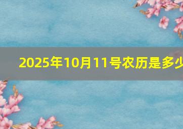 2025年10月11号农历是多少