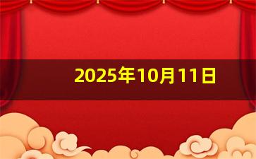 2025年10月11日