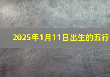 2025年1月11日出生的五行