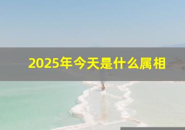 2025年今天是什么属相