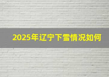 2025年辽宁下雪情况如何