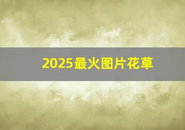 2025最火图片花草