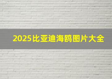 2025比亚迪海鸥图片大全