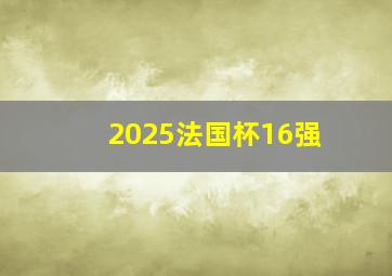 2025法国杯16强