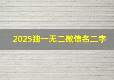 2025独一无二微信名二字