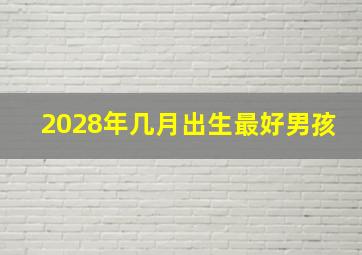 2028年几月出生最好男孩