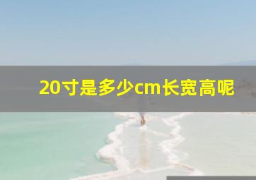 20寸是多少cm长宽高呢