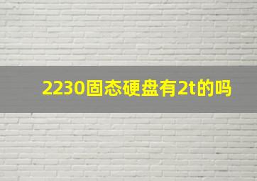 2230固态硬盘有2t的吗