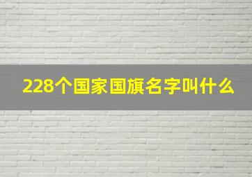 228个国家国旗名字叫什么