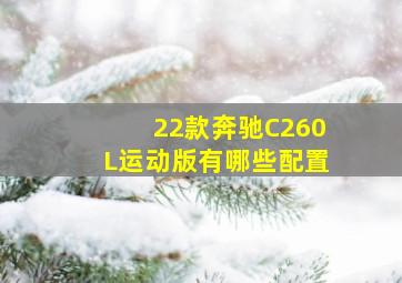 22款奔驰C260L运动版有哪些配置