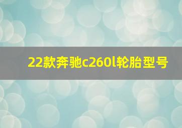 22款奔驰c260l轮胎型号