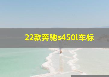 22款奔驰s450l车标