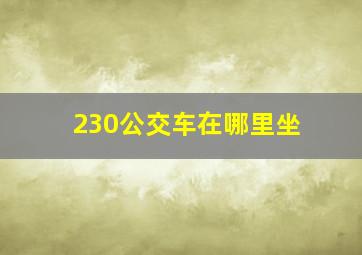 230公交车在哪里坐