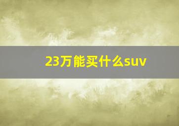 23万能买什么suv