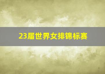 23届世界女排锦标赛