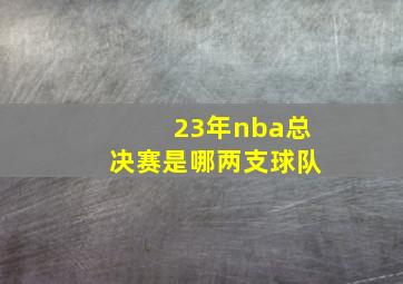 23年nba总决赛是哪两支球队