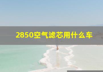 2850空气滤芯用什么车