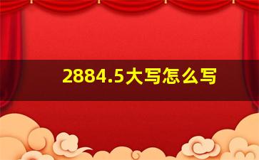 2884.5大写怎么写