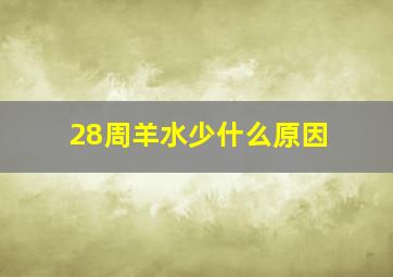 28周羊水少什么原因