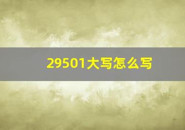 29501大写怎么写