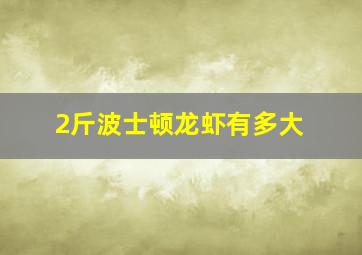 2斤波士顿龙虾有多大