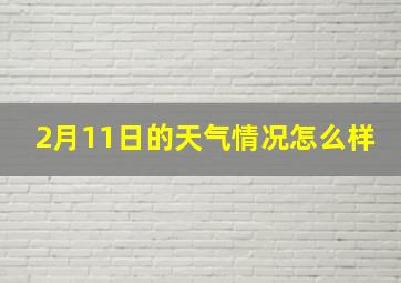 2月11日的天气情况怎么样