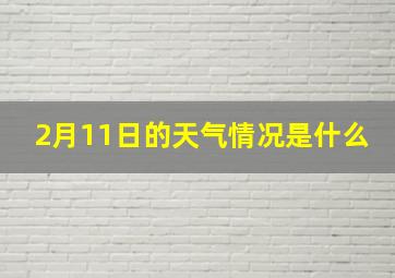 2月11日的天气情况是什么