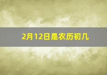 2月12日是农历初几