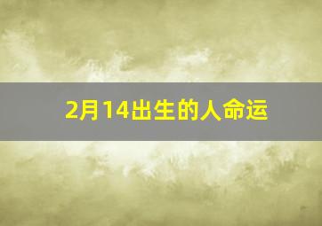 2月14出生的人命运