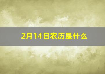 2月14日农历是什么