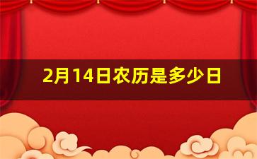 2月14日农历是多少日