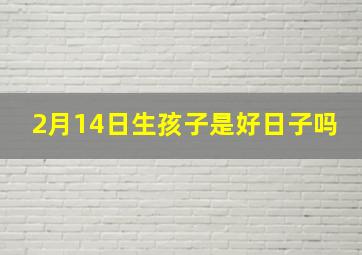 2月14日生孩子是好日子吗