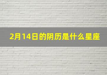 2月14日的阴历是什么星座