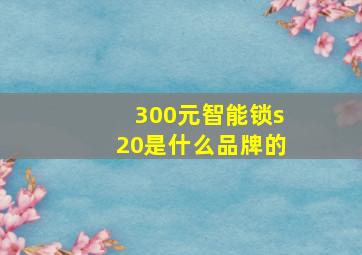 300元智能锁s20是什么品牌的