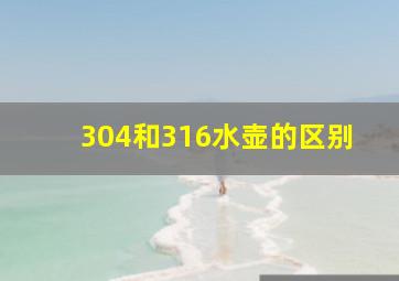 304和316水壶的区别