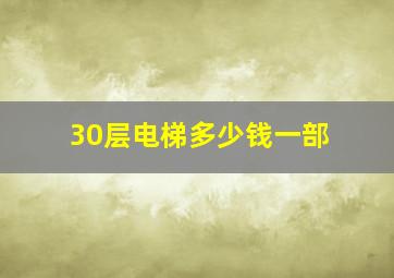 30层电梯多少钱一部