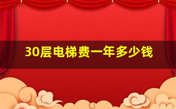 30层电梯费一年多少钱