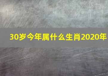 30岁今年属什么生肖2020年