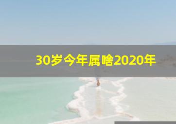 30岁今年属啥2020年