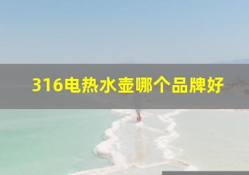 316电热水壶哪个品牌好