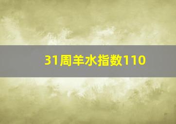 31周羊水指数110