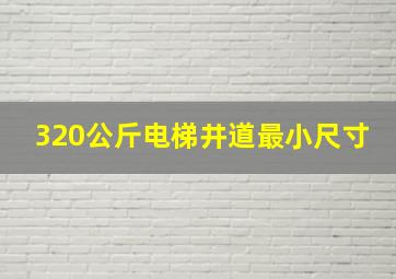 320公斤电梯井道最小尺寸