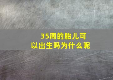 35周的胎儿可以出生吗为什么呢