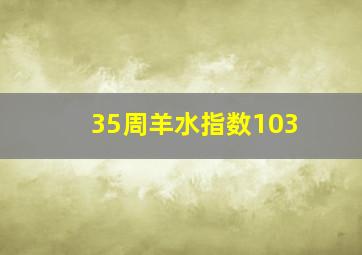 35周羊水指数103