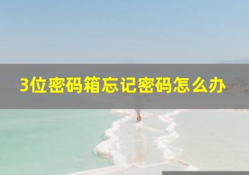 3位密码箱忘记密码怎么办