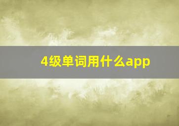 4级单词用什么app