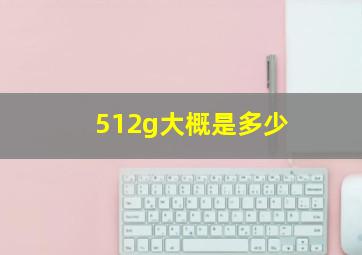 512g大概是多少