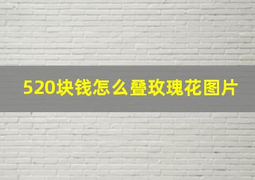 520块钱怎么叠玫瑰花图片